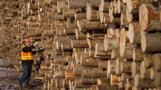 James Gorman to join West Fraser