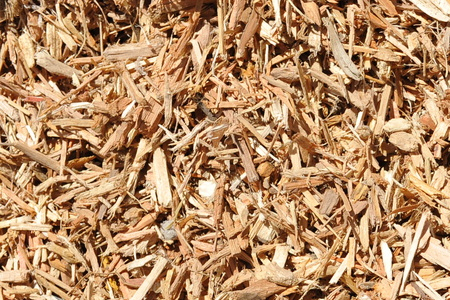 New research shows UK wood pellet subsidies distort the US market for wood fiber