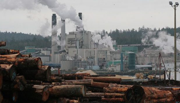 Nanaimo’s Harmac pulp mill penalized for 2013 spill