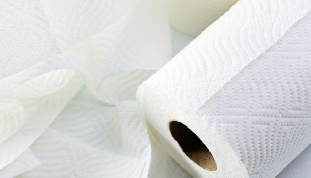 Kruger installing $55-million tissue machine at Crabtree