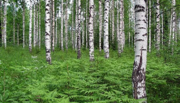 West World Paper joins two sides