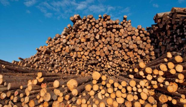 Global Timber and Wood Products market