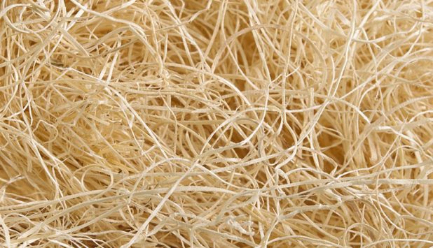 Low wood fiber costs in Brazil: increased in market pulp exports in 2016