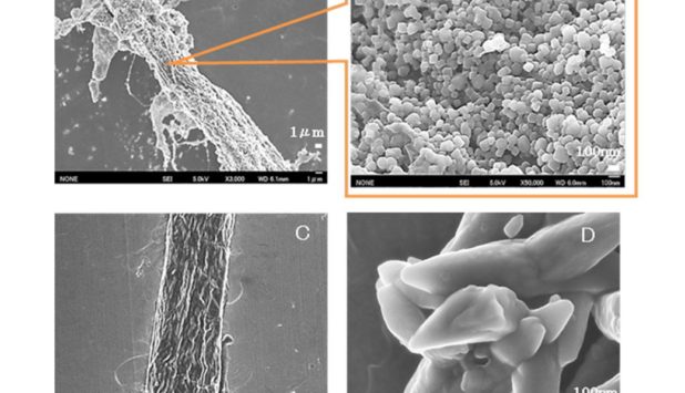 NPI develops new functional materials, composites of minerals and cellulose fibers