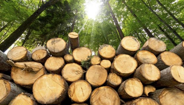 Sonoco: first wooden plugs price increase in six years