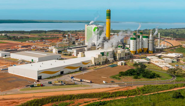 J&F’s Brazil pulp unit to seek partner after leniency deal -report