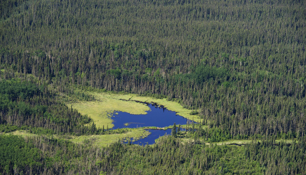 Resolute pursues lawsuit against Greenpeace