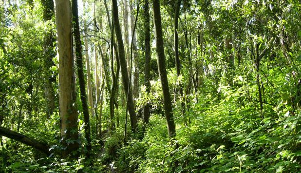 EUCALIVA: a project to reuse waste from paper industry