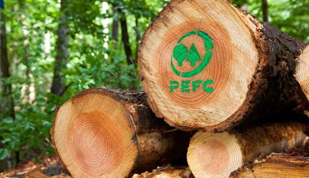 Three organizations join as PEFC International Stakeholder members