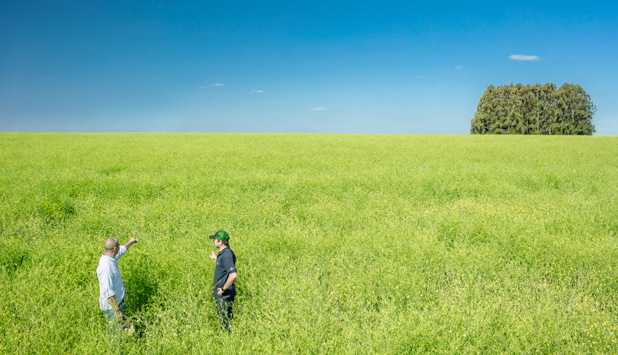 UPM Biofuels receives Uruguay’s first RSB sustainability certification for biofuel feedstock