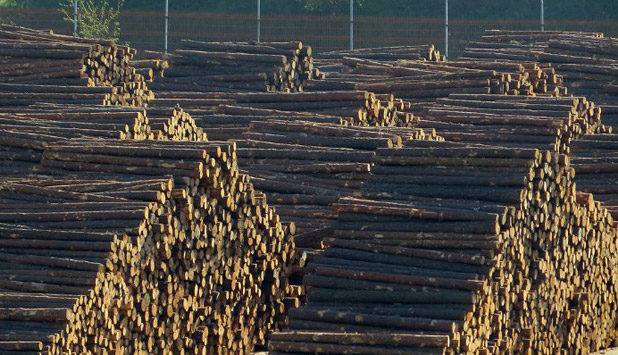 Schweighofer Group to quit its Romanian forest investments