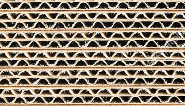 APP signs corrugated container joint venture agreement with Japan’s Oji Holdings