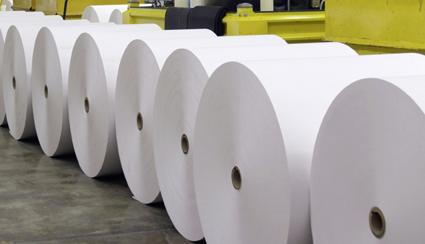 European paper and board production follows the EU economy downward trend in 2019, in contrast with market pulp production dynamism