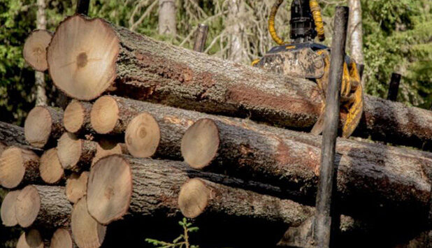 Segezha Group joins UN Global Compact