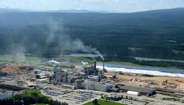 Hinton Pulp mill acquisition supports growth in Mondi’s Americas paper bags business