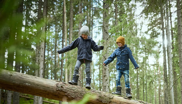 Aiming for emission-free pulping, forest industry and scientific community join forces