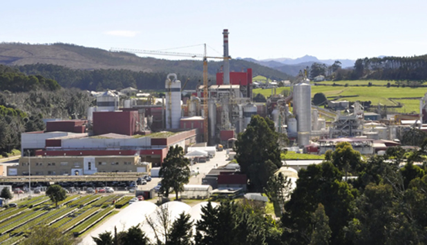 The Ence biofactory in Navia begins its annual technical stoppage