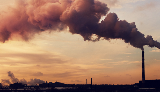 Cepi welcomes EU Parliament vote on Carbon Removals, but calls for a definition of renewable carbon