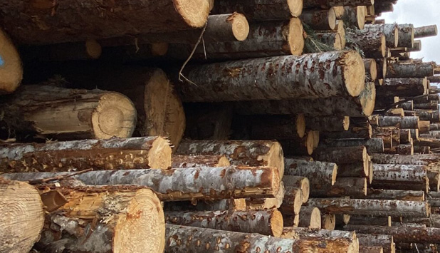 FESBC boosts sustainable forest management efforts in Northwest British Columbia