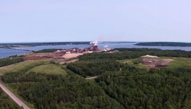 Unifor supports the prioritization of workers’ pensions in Northern Pulp agreement