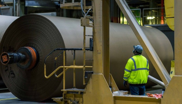 Suzano readies $15 billion bid for International Paper