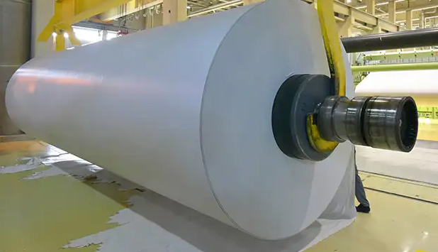 The Council presents its to-do list for Europe’s competitiveness, making bioeconomy a priority for the next Commission