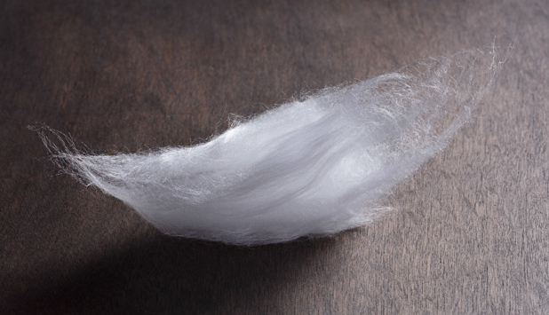 Lenzing AG: B&C Group and Suzano enter into long-term partnership