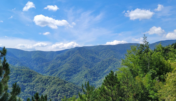 Weyerhaeuser and The Nature Conservancy announce joint effort to fight climate change