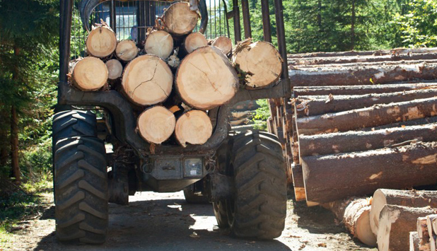 Quebec to invest $252 million to support Province’s Forestry sector