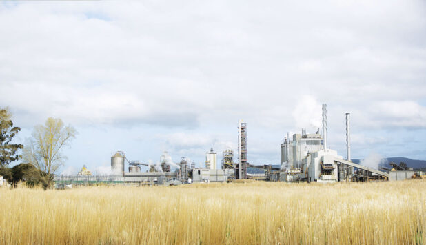 OjiFS to discontinue paper production at Kinleith Mill in New Zealand