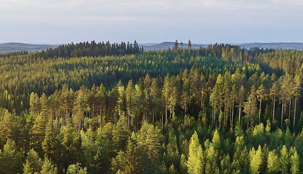 Metsä Group will introduce nature compensation in its environmental deviations