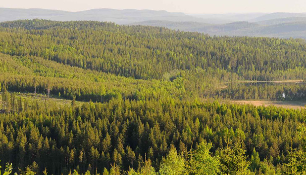 Lecta obtains SBTi validation for its emissions reduction