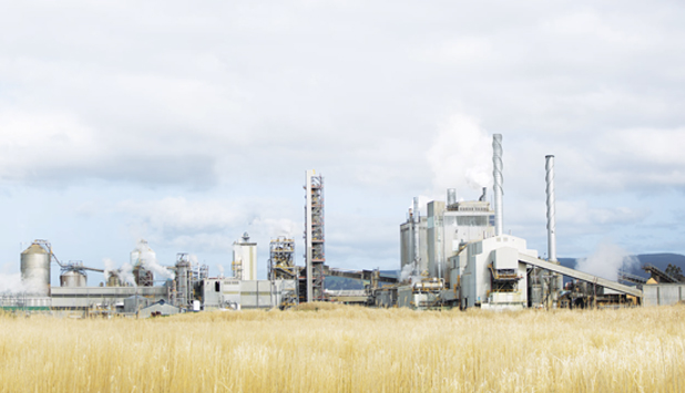 Oji Fibre Solutions to cease production at Kinleith Mill in New Zealand
