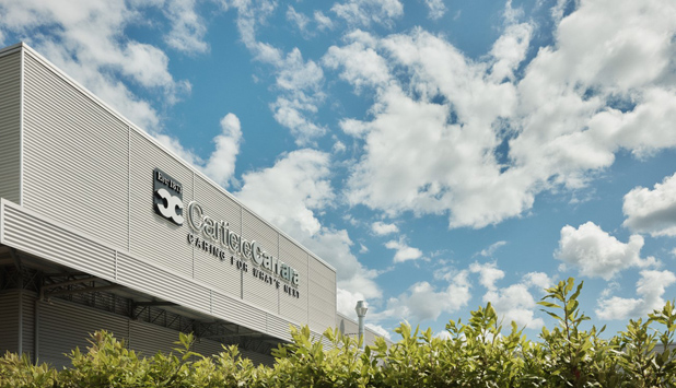 5 million funding for sustainable forestry for the Cartiere Carrara group in Italy