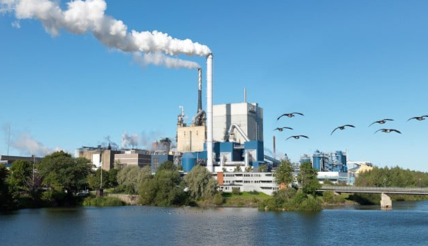 Billerud’s sustainability work gains international recognition by A-list ranking from CDP