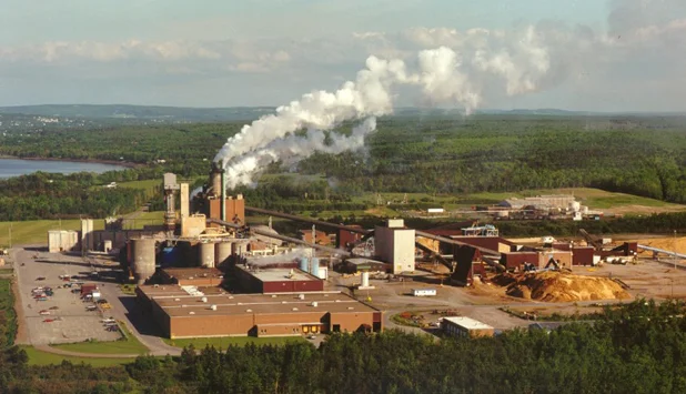 Northern Pulp abandons new mill project, will sell Nova Scotia assets