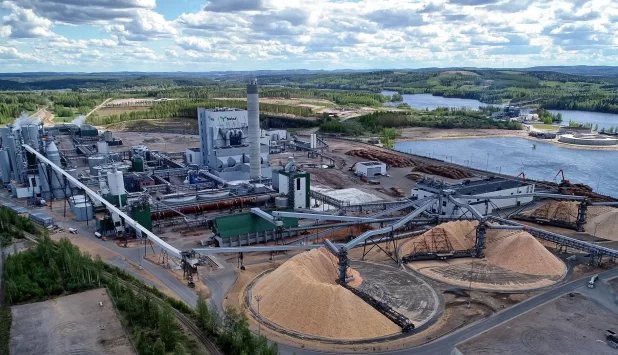 Weaker market conditions drive Metsä Group to negative performance