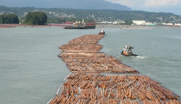 U.S. imposes steep 20.56% anti-dumping duties on Canadian softwood lumber, hitting B.C.’s forestry sector hard
