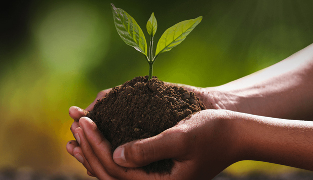 Ahlstrom reaffirms the position among top one percent in the EcoVadis sustainability assessment