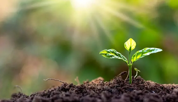 Valmet awarded with a Gold Medal in the EcoVadis sustainability assessment