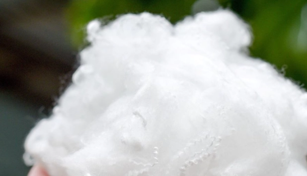 Kelheim Fibres prepares for orderly production phase-out by end of March 2026