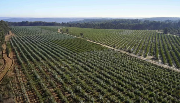 Altri achieves A rating from CDP and strengthens leadership in climate action