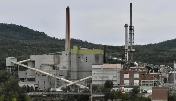 Cepi calls for balanced approach in post-2030 LULUCF Regulation