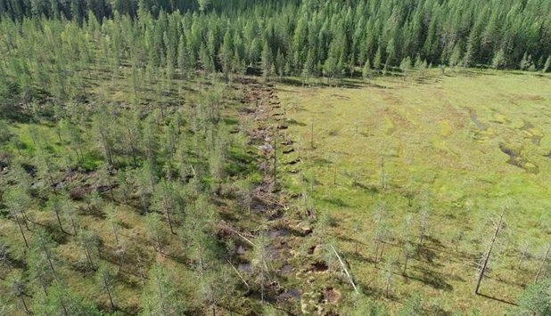 UPM and University of Eastern Finland launch research on mire restoration and water impacts
