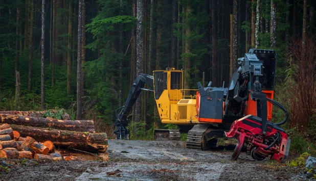 Western Forest Products Inc. and Tla’amin Nation reach agreement on Stillwater Forest Operation