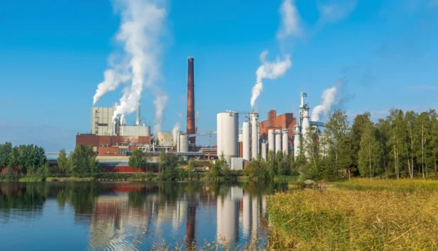 Finland explores carbon capture opportunities for the forest industry