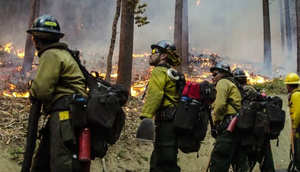 Weyerhaeuser launches fifth year of wildfire support campaign in Oregon