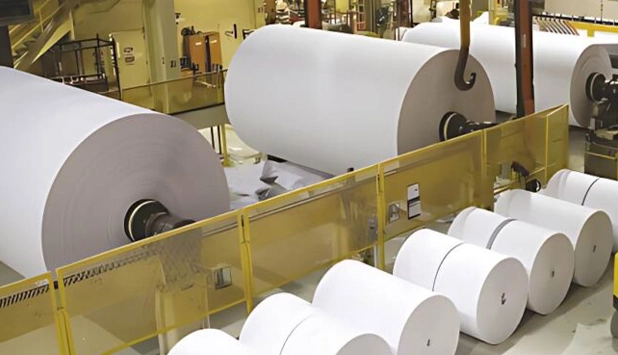 Cepi warns of gradual decline in Europe’s paper industry despite strong sustainability performance
