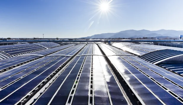 Sofidel and WWF Italy renew long-standing partnership on climate and sustainability