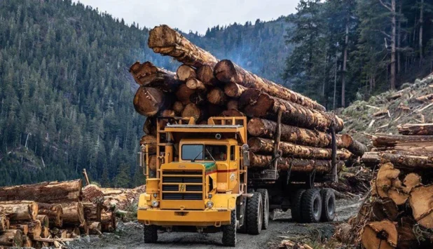 British Columbia moves forward with new forest management model